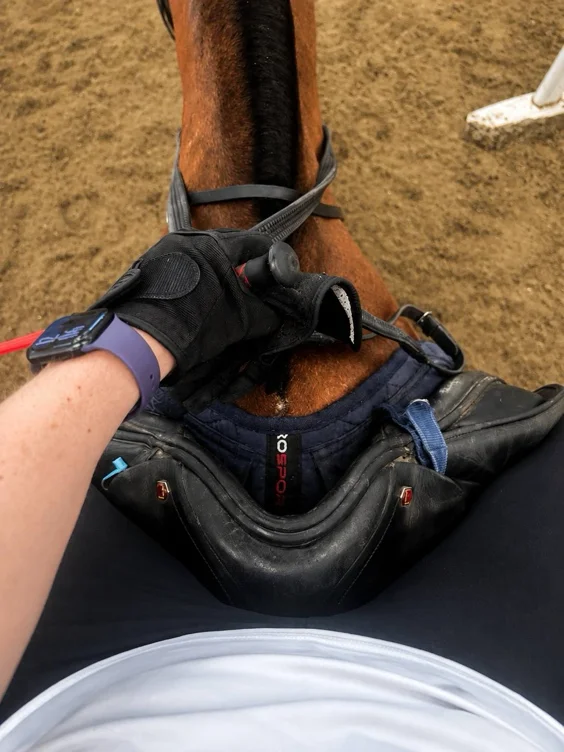 Private Horse Riding Lesson