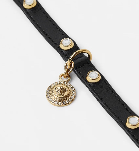 Crystal Medusa Cat Collar