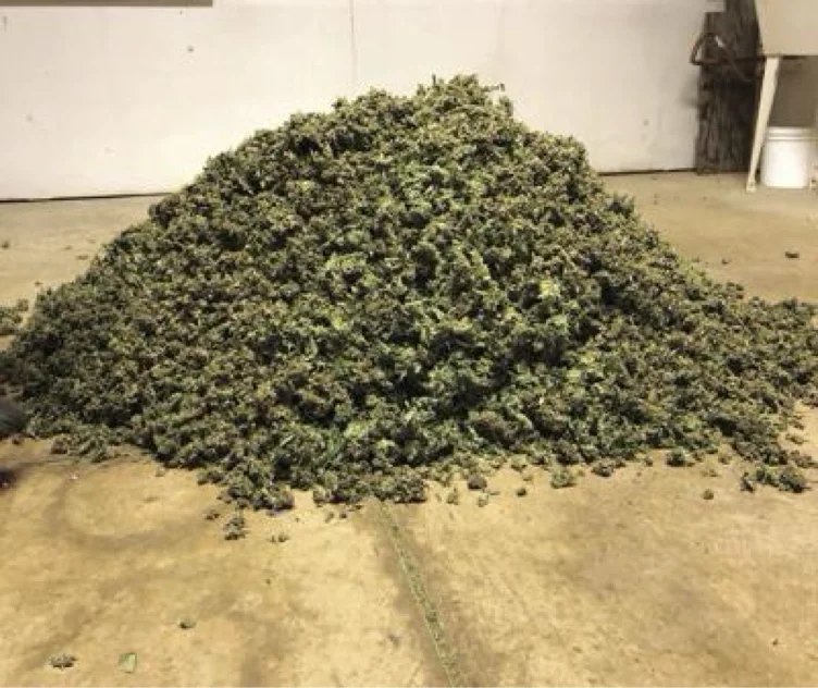 WEEEED