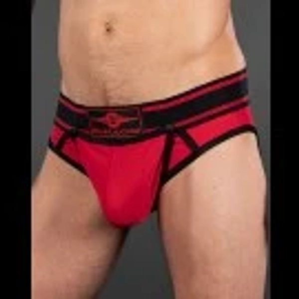 Bold Color All-Access Brief - 8 Colors