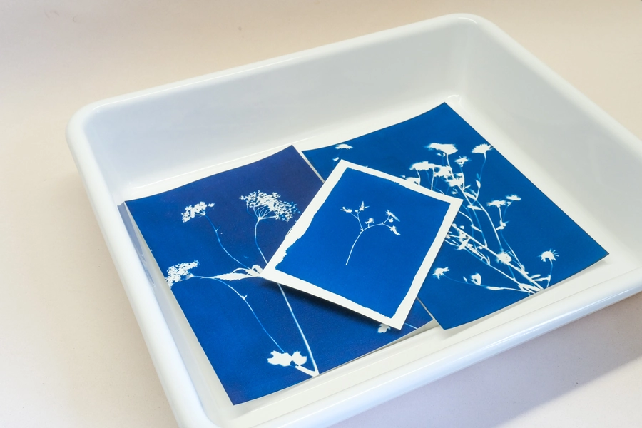 Bac de rinçage photo A4+ 