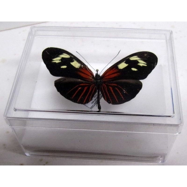 Lot de 10  Boites transparentes cristal 70 x 90 x 48 mm