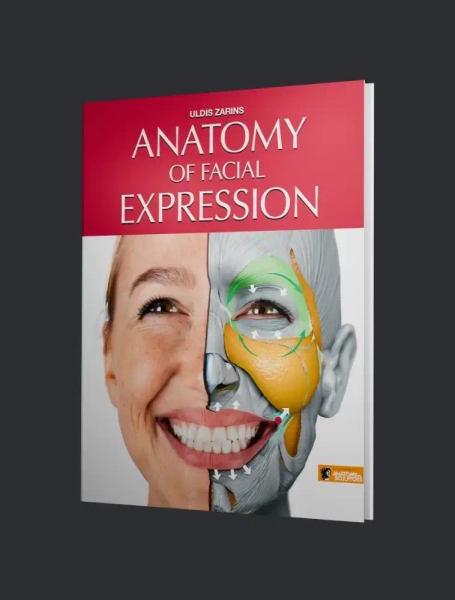 Anatomy of Facial Expression | by Anatomy For Sculptors ® (Hardcover)