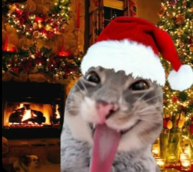 Secret Santa 🎅🏻