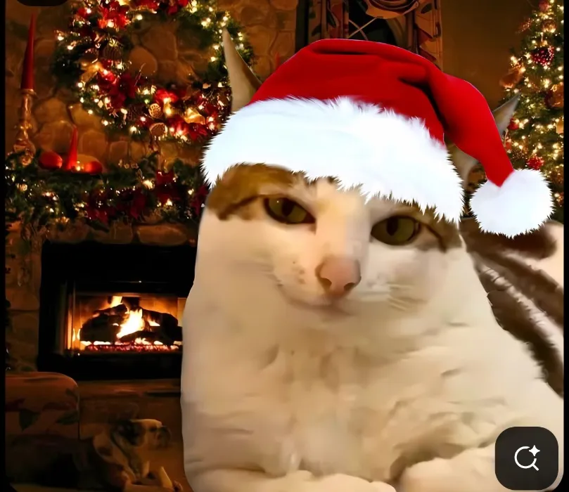 Secret Santa 🎅🏻