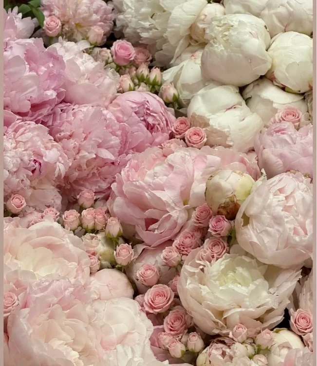 Buy me flowers <3