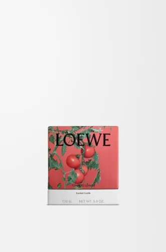 LOEWE Tomato candle 