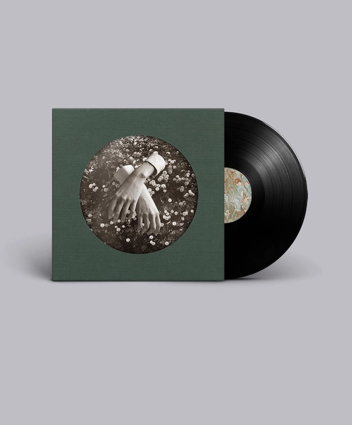 Nº 31 A LITTLE FABLE (LP Edition) - ASPIDISTRAFLY