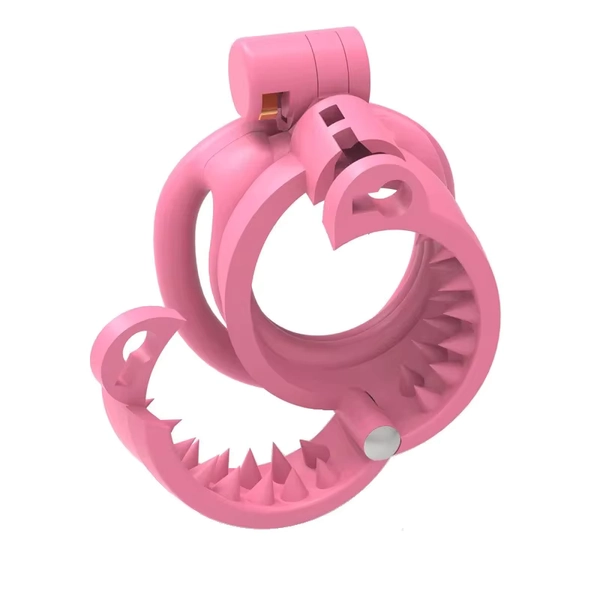Jouets de contrainte BDSM, Cage de chasteté réglable et détachable, Dispositif anti-érection à pointes, Dispositif de chasteté masculin, Cage à pénis
