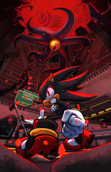 Shadow the Hedgehog Poster (2005) - Etsy