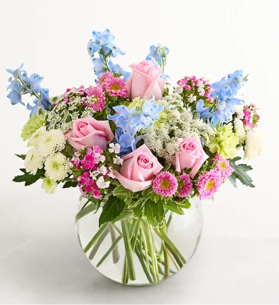 Delphinium Garden™