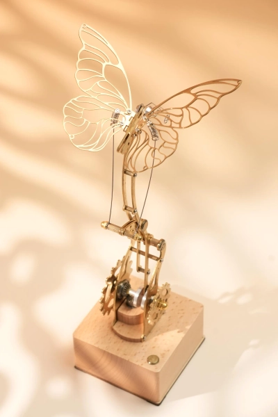 Butterfly ✨