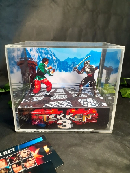 Tekken 3 Cube Diorama - 3D Videogame - Gift for Gamer - Shadow Box - Miniature - Etsy UK