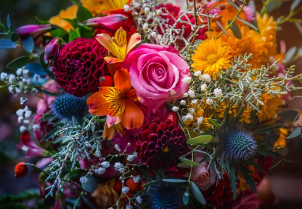 Flowers! 💐 