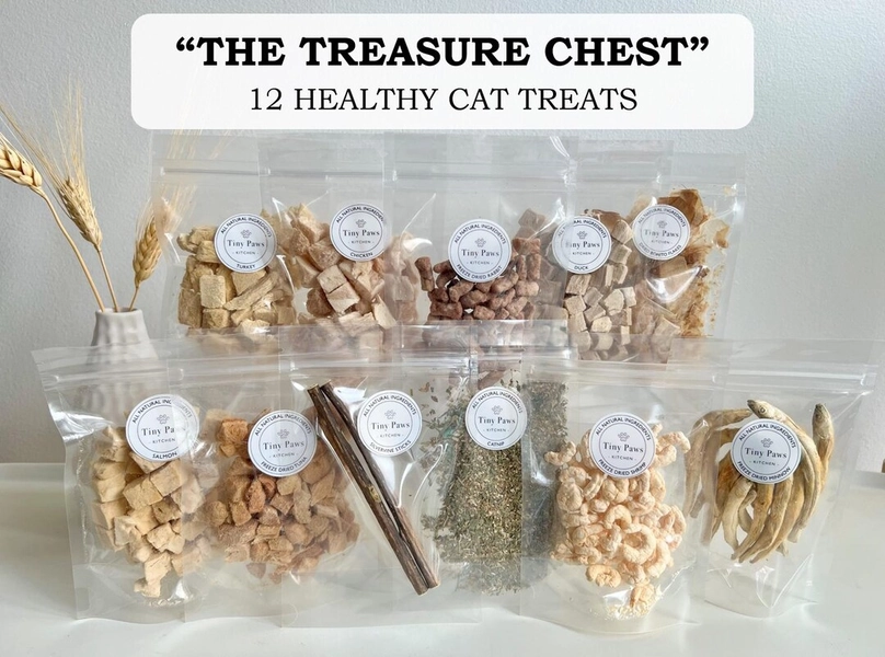 The Treasure Chest - Cat Treat Box | 12 Healthy Cat Treats | Holiday Cat Gift | Gift for Cat Lovers | Gift for Cat Owners - Etsy