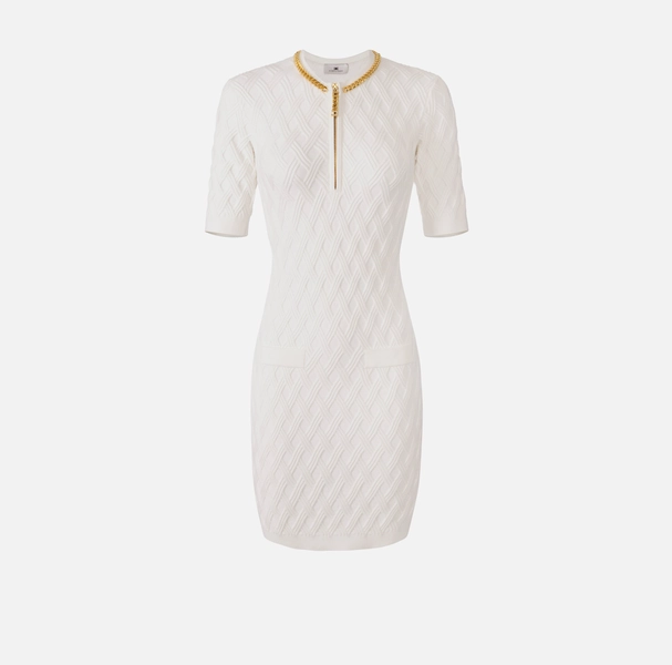 Elisabetta Franchi dress