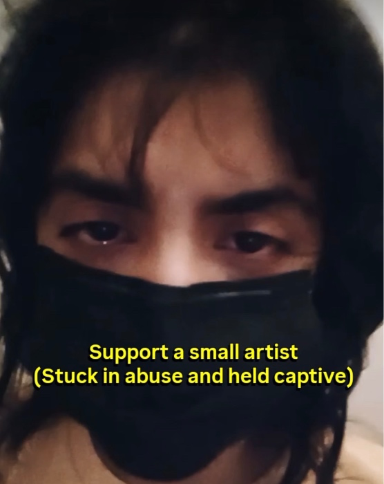 Abused Artist