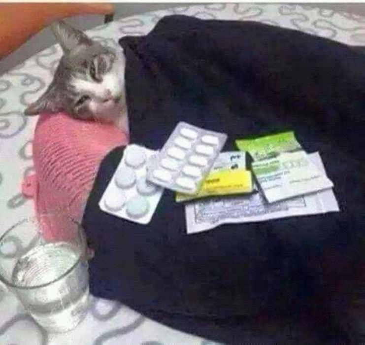 Medical Bills