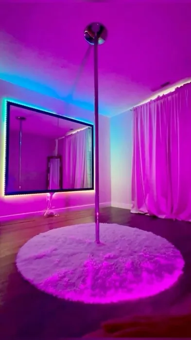 Pole Dance Pole