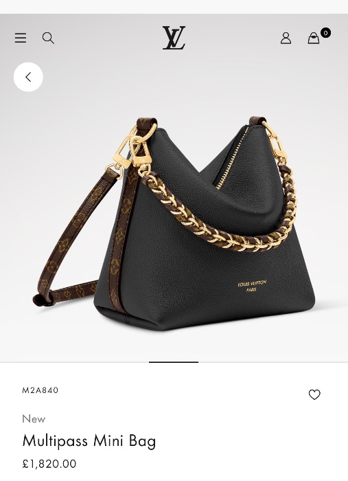 LV Bag 