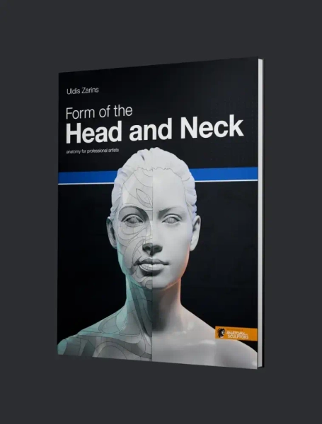 Form of the Head and Neck | by Anatomy For Sculptors ® (Hardcover)
