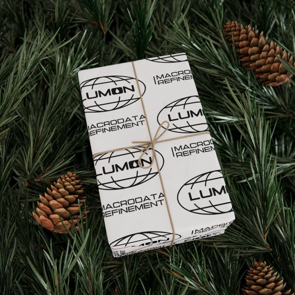 Severance Wrapping Paper: Lumon Macrodata Refinement Gift