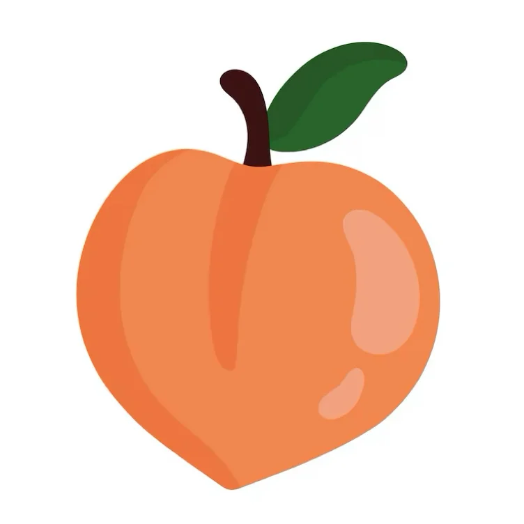 WORSHIP MY PEACH 