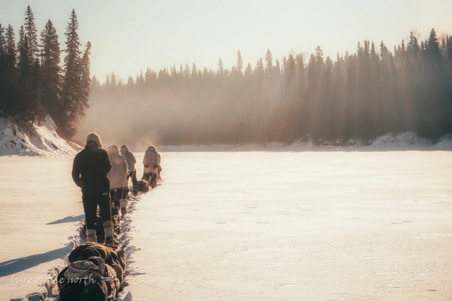 Journey to the Northern Sea by Lure Of The North