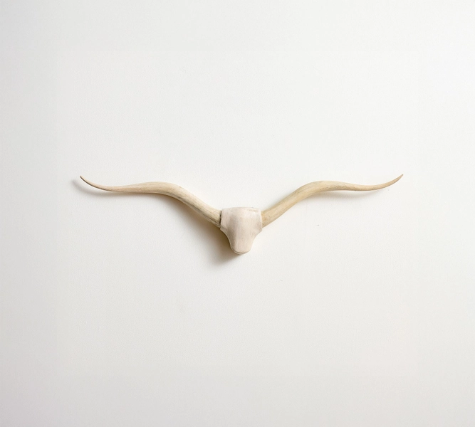 Longhorn Wall Art
