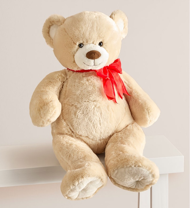 Giant Teddy Bear 🧸❤️😍