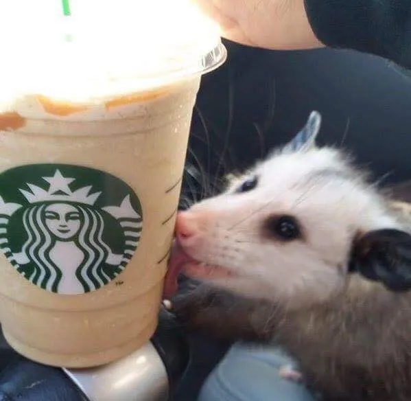 Starbucks $15 Gift Card