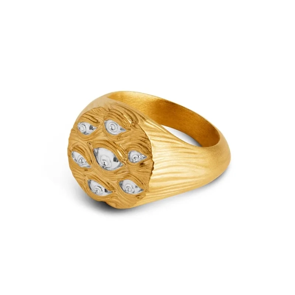 Eyes of Many Signet Ring – 9ct Solid Gold & Silver Eyes