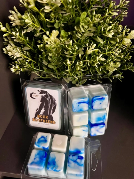 Book Boyfriend Wax Melts • Oakmoss, Amber • White & Blue Marble • Bookish Gifts • Clean Masculine Scent • Reader Gift - Etsy