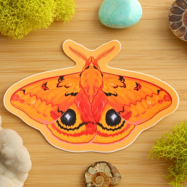 Io Moth Sticker / Insect Sticker / Entomologist / Entomology / Vinyl Sticker