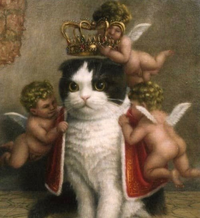 Treats for my Cats