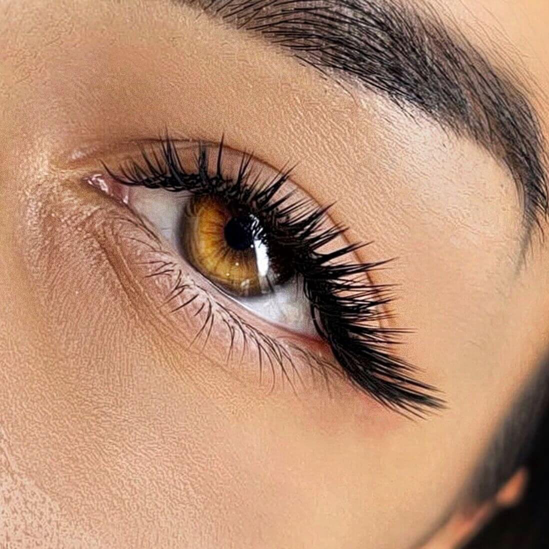 Lashes