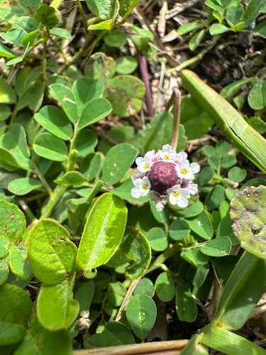 Personal Growth & Education