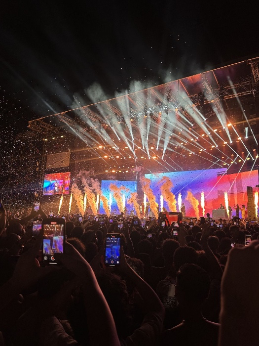 3 Day VIP Festival Ticket 