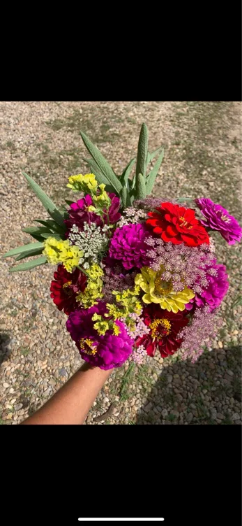 Flowers 🌹 (40)
