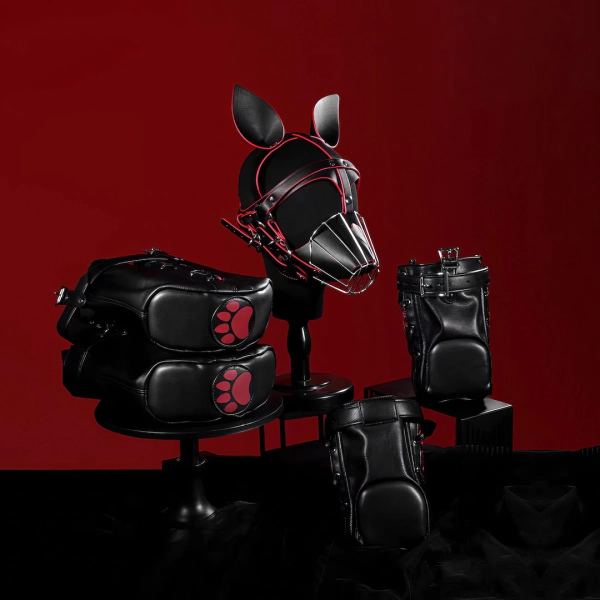 Puppy set <3
