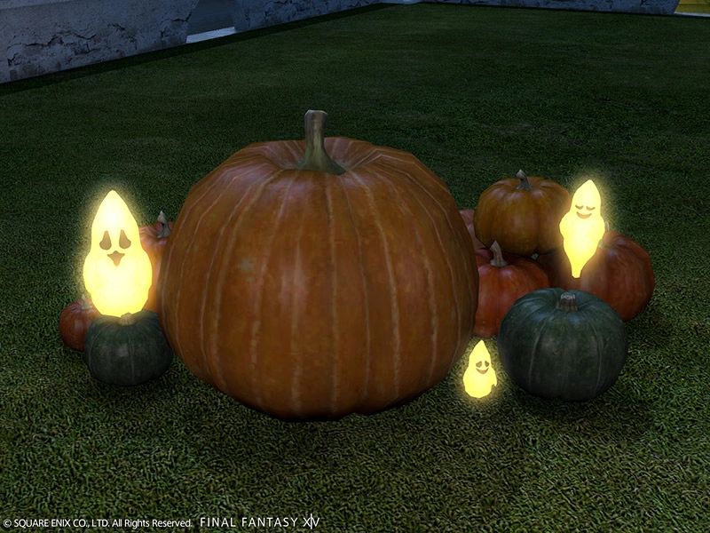 Authentic Haunted Pumpkin Set | FINAL FANTASY XIV Online Store