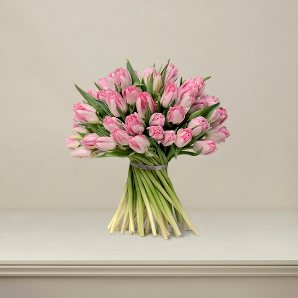 British Pink Tulips