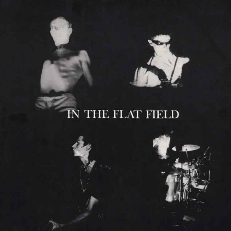 Bauhaus - in the flat field