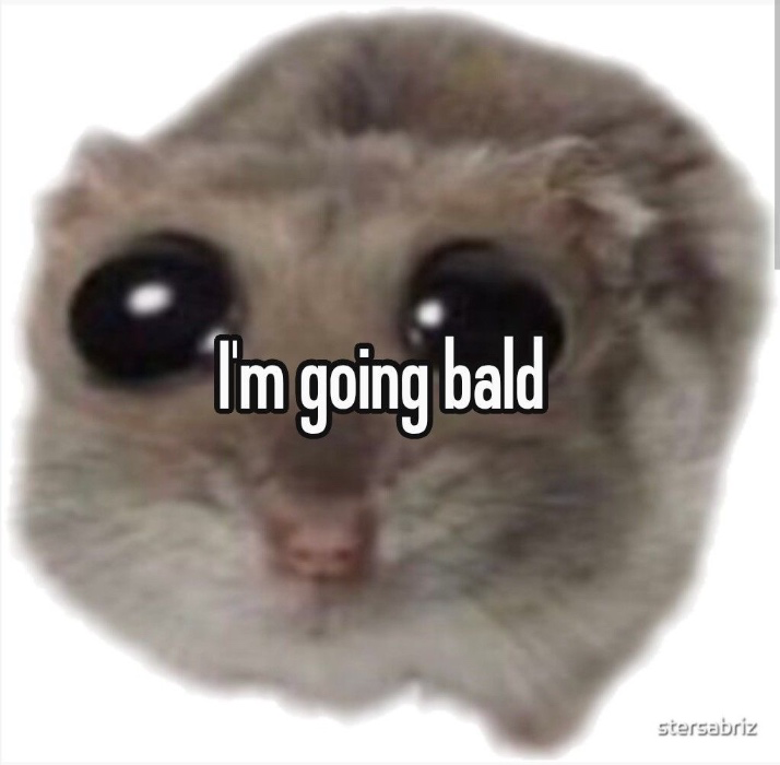 Go bald ✨