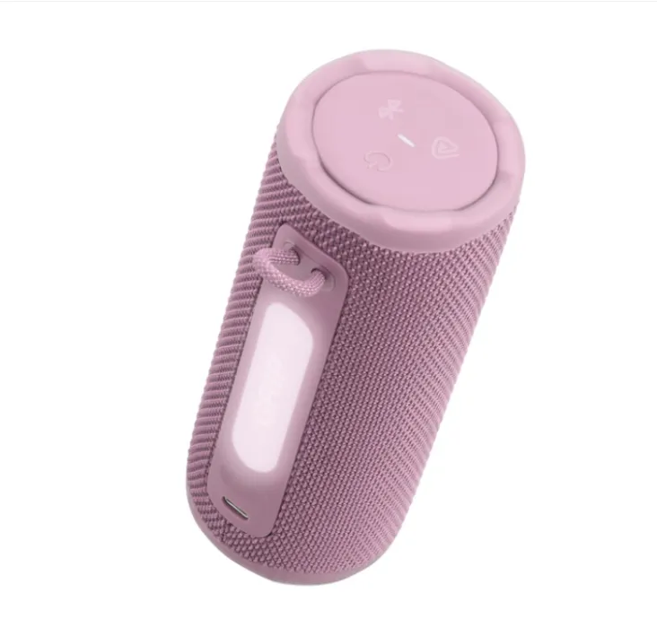 JBL Grip Speaker