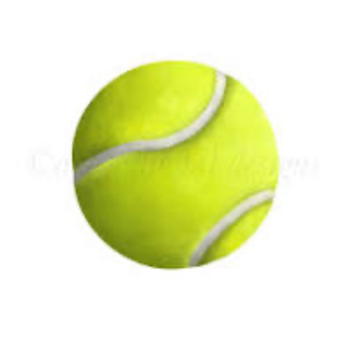 Nessys Ball Fund
