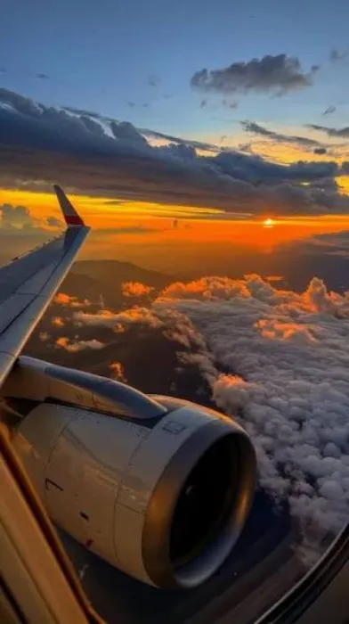 Flight ✈️
