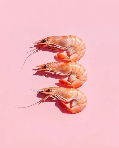 ˚˖𓍢ִ໋🐍tiny shrimp ($10)✧˚.💗⋆ֶָ֢