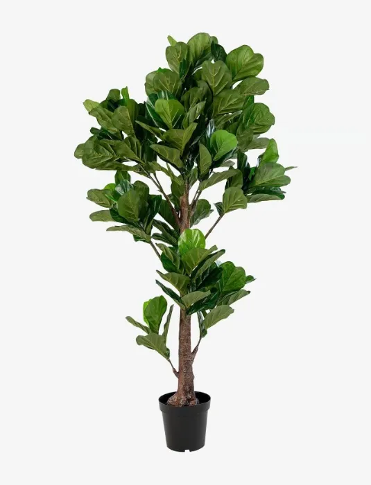 new plants