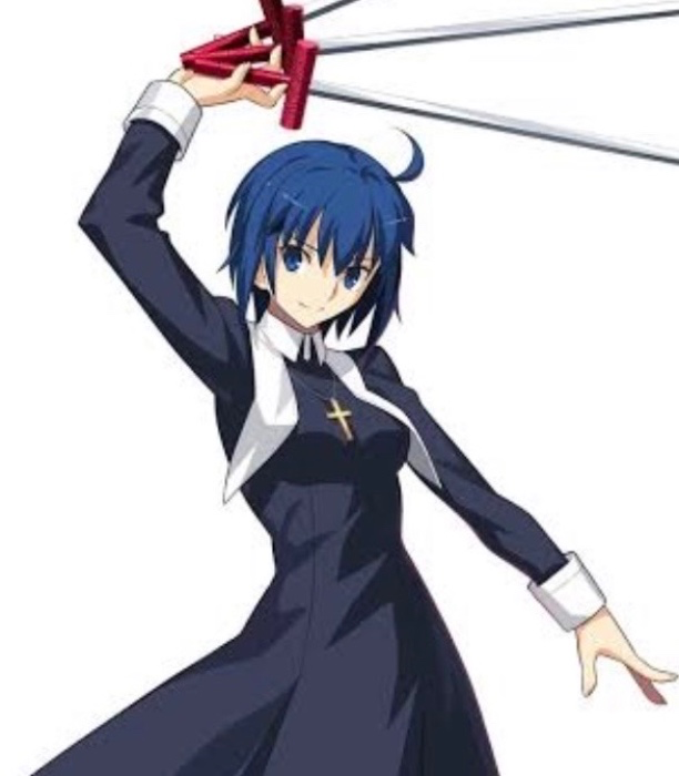 Ciel Tsukihime cosplay + wig
